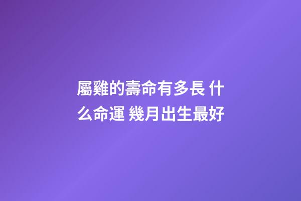 屬雞的壽命有多長 什么命運 幾月出生最好